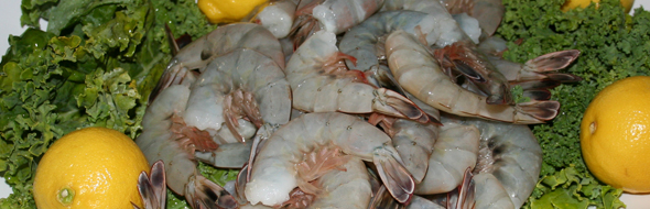 shrimp lovers